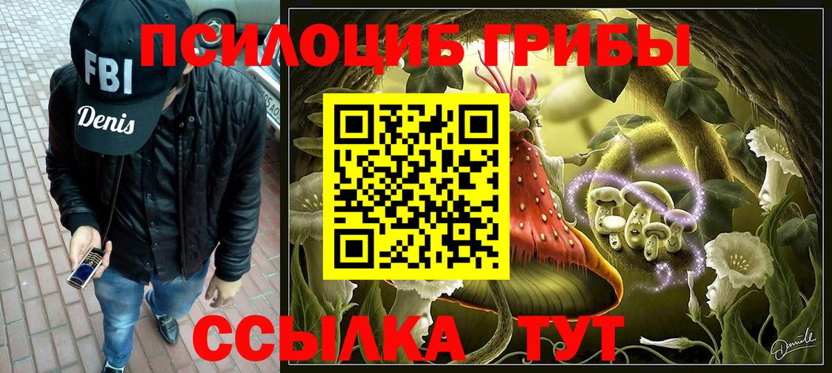 Псилоцибиновые грибы Psilocybine cubensis Корсаков